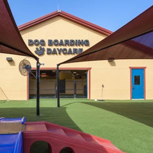 The rear exterior of All American Pet Resorts Fort Myers near the play area